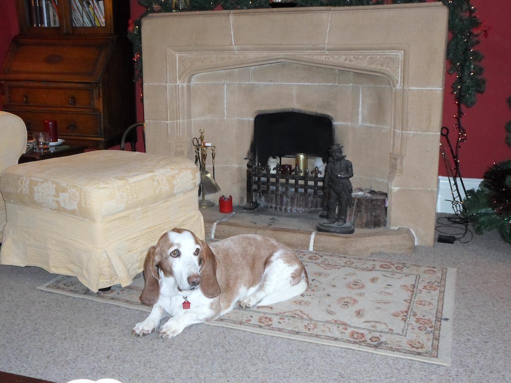 The Old Cider House Bed and Breakfast Nether Stowey Buitenkant foto