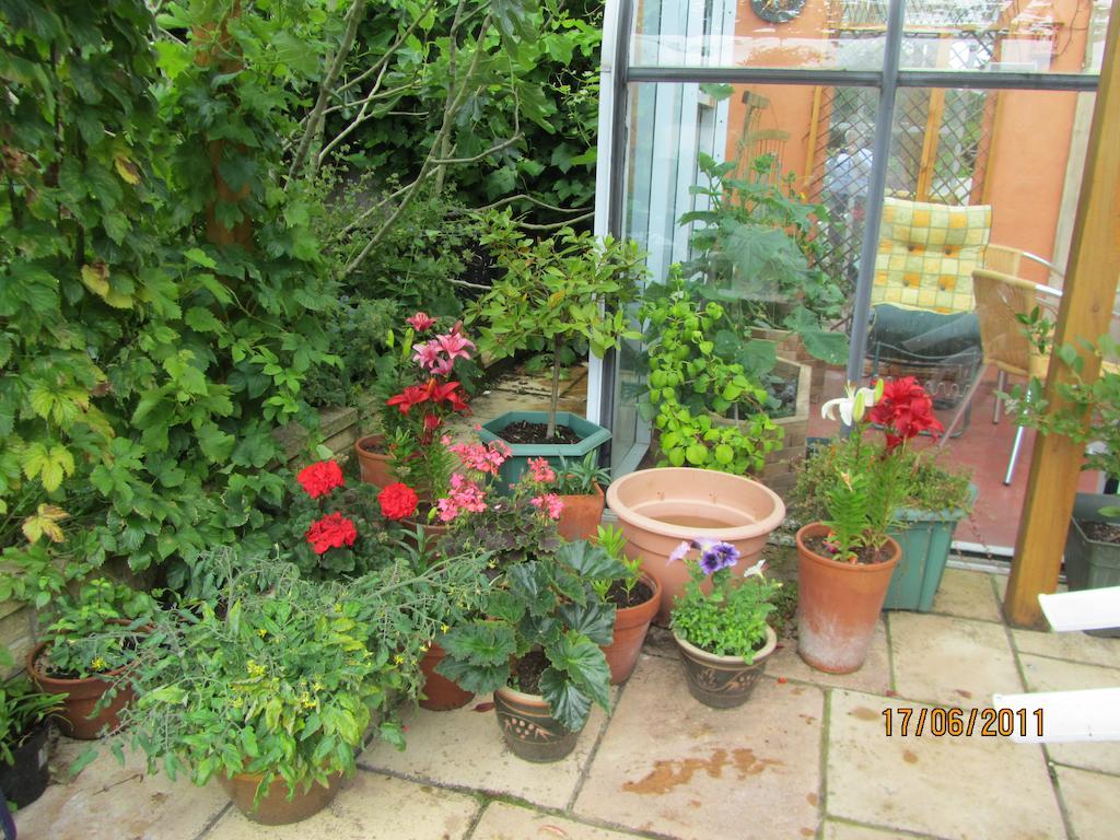 The Old Cider House Bed and Breakfast Nether Stowey Buitenkant foto